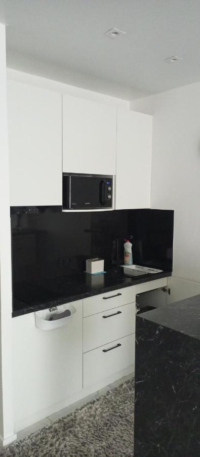 New Modern Apartment Užhorod Exteriér fotografie